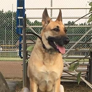 Meet your Posher, Mary